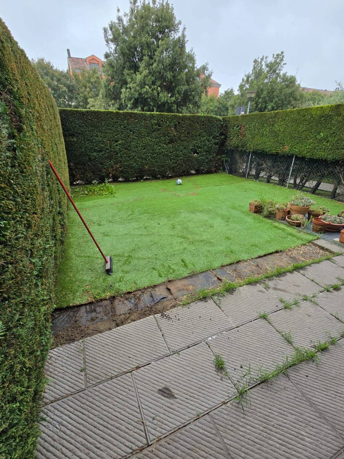 Prima: prato in un giardino chiuso da siepi